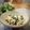 inyako's cooksnap of when they made 春菊の白和え.