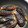 クックZ8J4H4☆'s cooksnap of when they made なすの煮浸し.