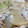 dottco's cooksnap of when they made 大根と豚こまの早煮.