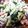 ♬あじさいのレシピ♬'s cooksnap of when they made エビとブロッコリーのエビマヨサラダ♪.