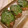 すがみほ's cooksnap of when they made アジのサンガ焼き♪れしぴ.