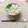 クックGW9ZS1☆'s cooksnap of when they made 筍としらすの炊き込みご飯.