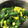 ayuha21's cooksnap of when they made 簡単！ほうれん草とコーンのナムル♪.