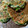クックC7XK5N☆'s cooksnap of when they made 簡単、お好み焼きの粉でネギ焼。.