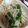 mikiha5's cooksnap of when they made もやしとニラナムル.