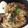 ハント☆'s cooksnap of when they made きのこの炊き込みごはん.