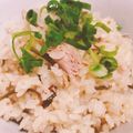 sae:'s cooksnap of when they made ツナと塩昆布を混ぜるだけ！炊き込みご飯！.