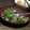 クロ８５'s cooksnap of when they made 茄子と挽き肉のナンプラー炒め.