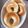 クックE6UVVJ☆'s cooksnap of when they made もちもちベーグル.