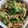 クックESEJVB☆'s cooksnap of when they made 簡単！ニラ玉♥.