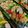 クックI7I5L1☆'s cooksnap of when they made お弁当・・・91えりこさんの混ぜずし.