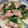 seseri3841's cooksnap of when they made 鶏肉とほうれん草のクリーム煮.