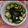 ロイヤルミルク♪'s cooksnap of when they made きゅうりの三杯酢あえ.