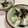 papikun's cooksnap of when they made お茶漬けの素●増量刻み海苔のワサビ茶漬け.