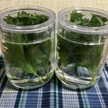 ◆どらしま◆'s cooksnap of when they made 二週間は持ちます＊大葉を瓶で冷蔵庫保存.