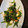 junmomoan♪'s cooksnap of when they made ほうれん草とモッツァレラのごま和え＊.