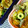 haruku221's cooksnap of when they made ピーマンとちくわとツナの炒め物.