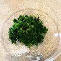 マコミコ's cooksnap of when they made 簡単！ビタミンたっぷり♪パセリのお浸し.