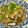 sally1020's cooksnap of when they made サバ缶のおろし煮♡.