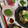 ぐりtoぐら's cooksnap of when they made 小松菜・しめじ・かまぼこの塩昆布和え.