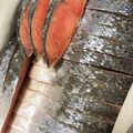 クックBLTENE☆'s cooksnap of when they made フライパンで簡単☆ふっくら焼き魚　コープ.