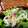 ＊あんずあん＊'s cooksnap of when they made 三つ葉と大根のゆず胡椒サラダ♫♬.