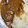 aym_mum's cooksnap of when they made すりおろしりんごのカレーライス.
