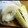 mamchi！'s cooksnap of when they made 簡単★筍の皮むき＆灰汁抜き.