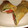 クックUTNF33☆'s cooksnap of when they made 簡単！激うま〜♡カニカマとトマトの春巻き.