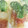nanaries13's cooksnap of when they made ちくわと野菜の天ぷら.