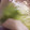 喜八＆Hacchi's cooksnap of when they made 野菜の水切り方法.