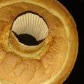 みわこn's cooksnap of when they made しっとりふわふわ簡単シフォンケーキ.