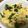 マイアミ816's cooksnap of when they made たけのことワカメの卵とじ.