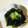 ｂｅｒｒｙ＋'s cooksnap of when they made 簡単！きゅうりとワカメの酢の物.