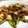 みこみこにゃー's cooksnap of when they made 中国家庭料理！にんにくの芽の卵炒め.