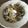Yokchina's cooksnap of when they made あさりのバターしょうゆパスタ.