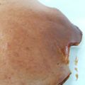 ほにゃさん's cooksnap of when they made HMで簡単！おからココアケーキ.