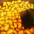 丸ピチョ's cooksnap of when they made ひたし豆にミリンの魔法　　補うタンパク質.