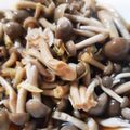 モジャ時々ツルツル's cooksnap of when they made しめじのレンジ蒸しで、作りおきおかずを～.