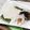 クックHG9V8Y☆'s cooksnap of when they made いかのさばき方。簡単に出来ますよ～☆.