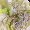 ﾌﾞﾚﾝﾀﾞ's cooksnap of when they made レタスのしらすぽん酢サラダ.