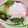 クックHG9V8Y☆'s cooksnap of when they made サーモンとイカの刺身.