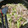 クックE7GLQ2☆'s cooksnap of when they made 豚肉と玉ねぎとセロリの炒め物.