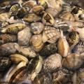 MHR2mama's cooksnap of when they made 【簡単】あさりの砂抜き塩抜き.