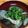 どんがらがっしゃっん's cooksnap of when they made ナスと長ネギの味噌汁.