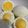 はるるのるるる's cooksnap of when they made キャラ弁☆簡単！ゆで卵のお花.