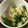 クックZ8J4H4☆'s cooksnap of when they made ポリ袋で山芋ときゅうりのゆかり和え.