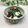 Satoco❋'s cooksnap of when they made タコと青ネギの酢味噌和え(ぬた）.