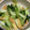 けんよこ's cooksnap of when they made 青梗菜のオイスター炒め.