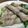 料理男子（週末限定）'s cooksnap of when they made 簡単！美味しい！豚バラの豆苗巻き.